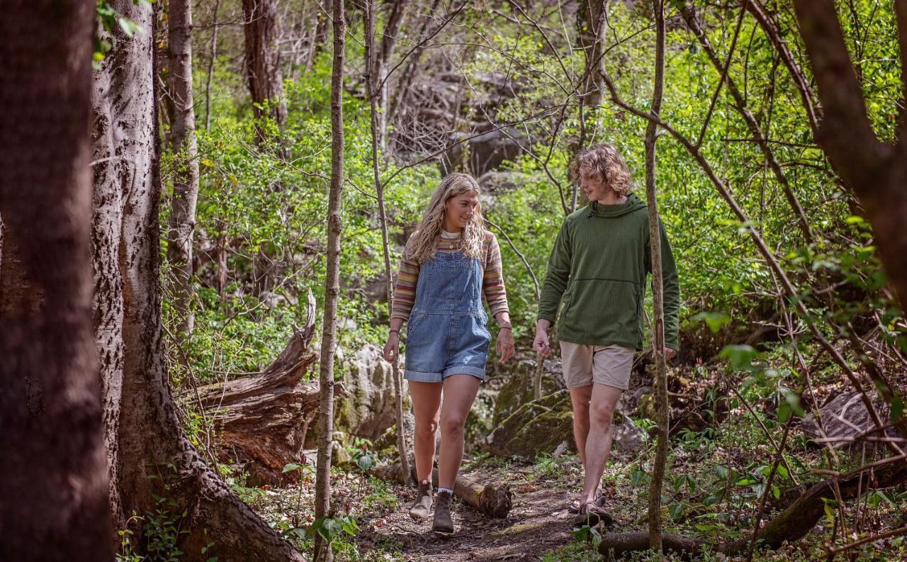 Eden Cabin Forested Tiny Home On Lookout Mtn 채터누가 외부 사진