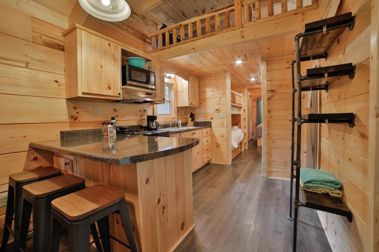 Eden Cabin Forested Tiny Home On Lookout Mtn 채터누가 외부 사진