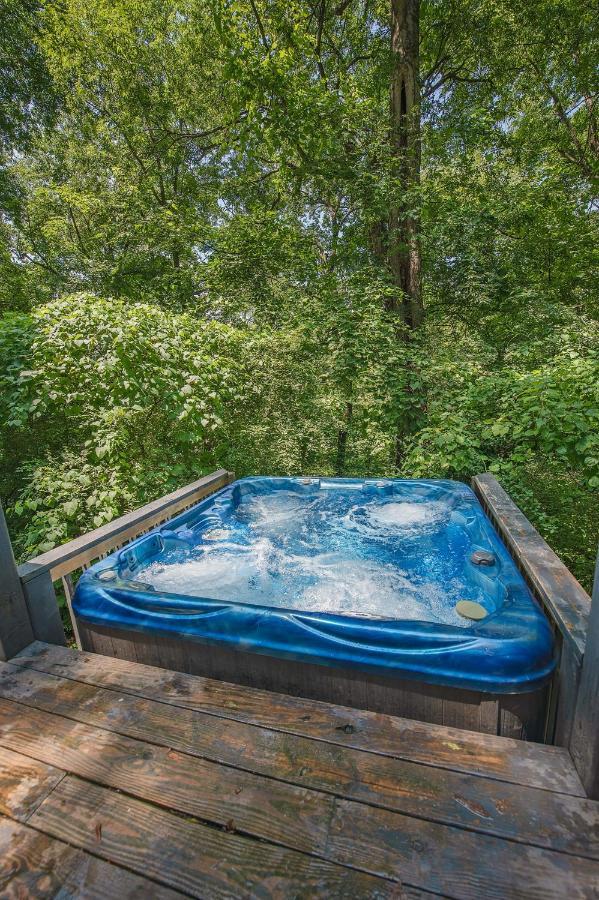 Eden Cabin Forested Tiny Home On Lookout Mtn 채터누가 외부 사진
