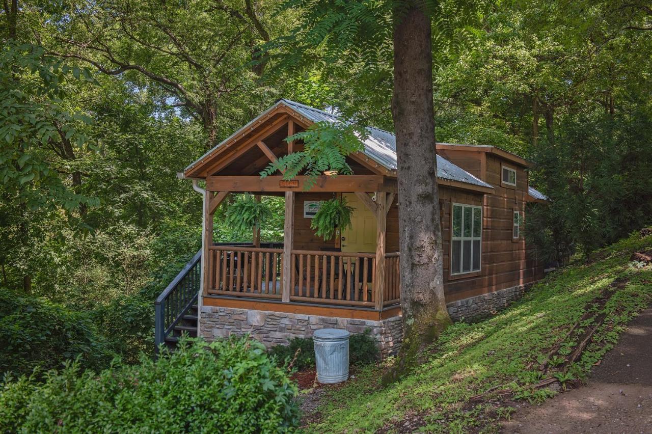 Eden Cabin Forested Tiny Home On Lookout Mtn 채터누가 외부 사진